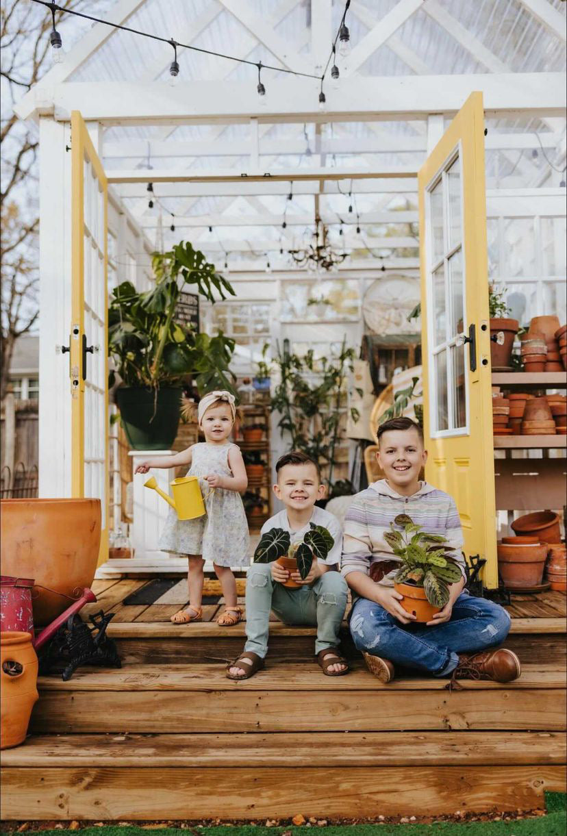Family Sessions
