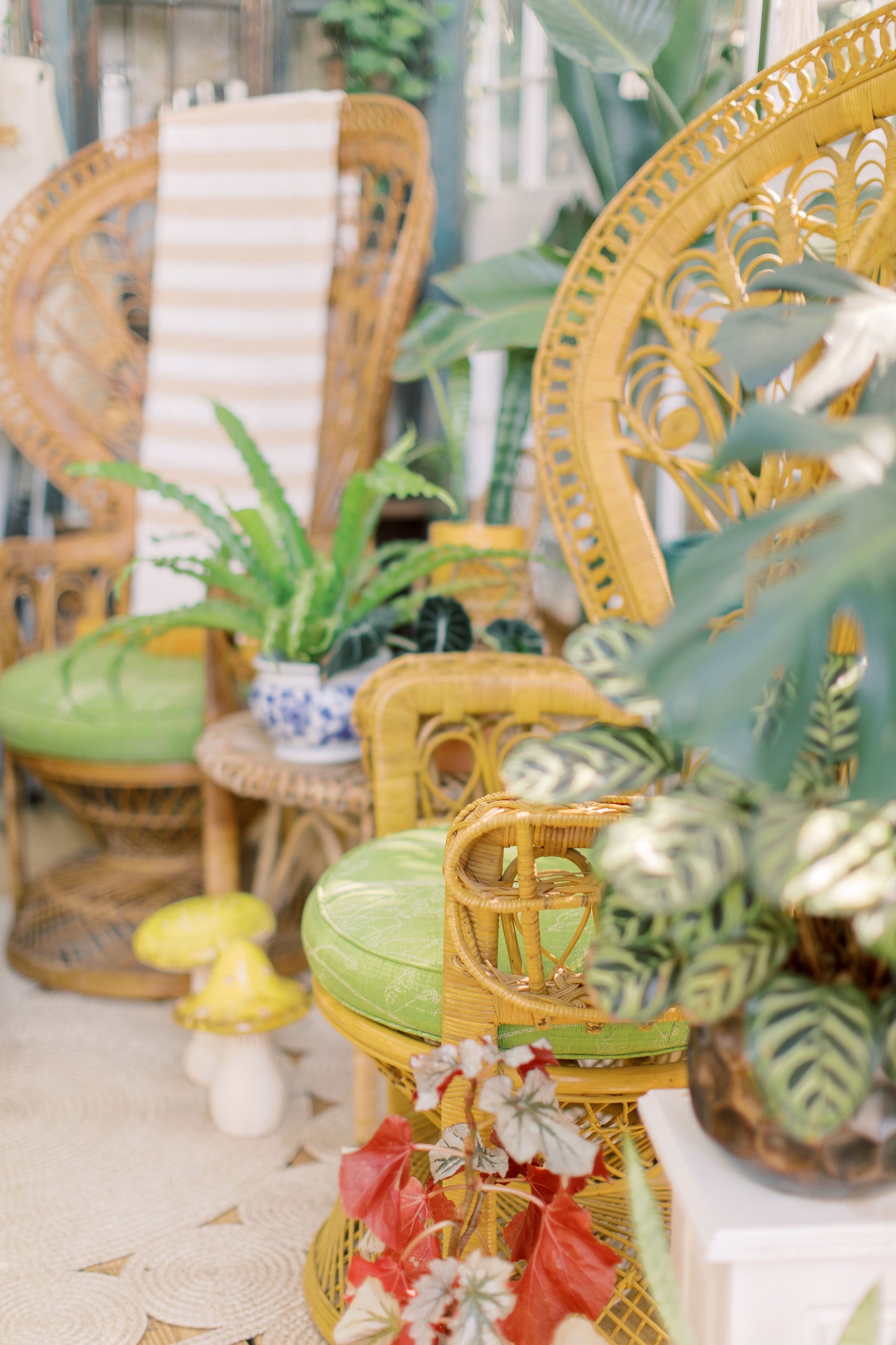Greenhouse Rental